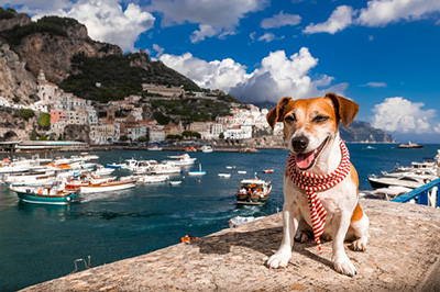Italian-Boy-Dog-Names-with-meanings